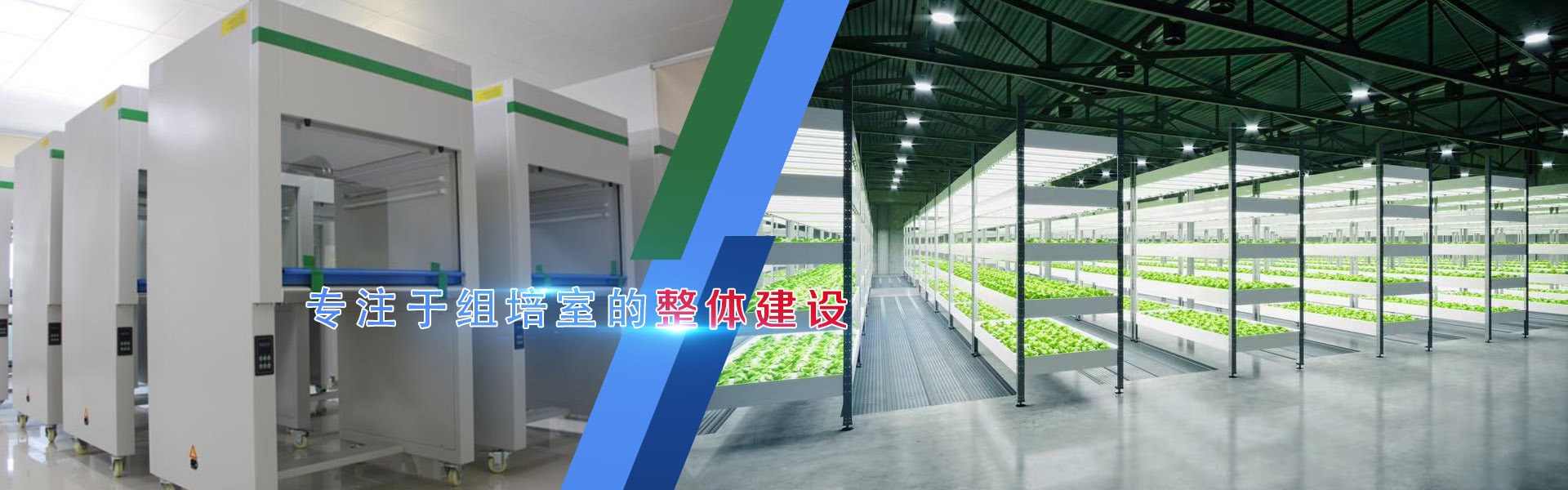 小优APP为爱而生、小优APP为爱而生架