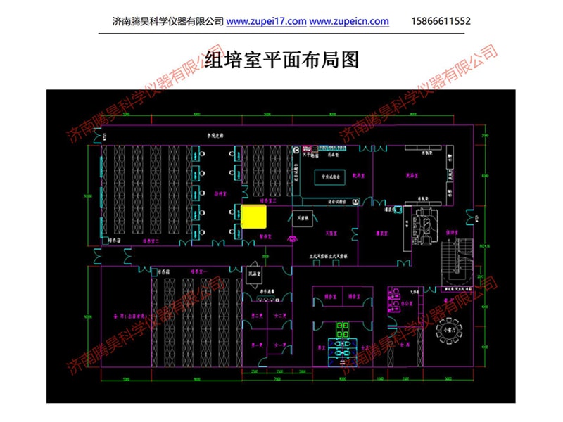 小优APP为爱而生室
