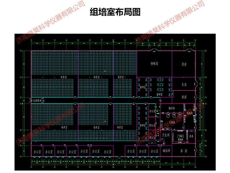 小优APP为爱而生室