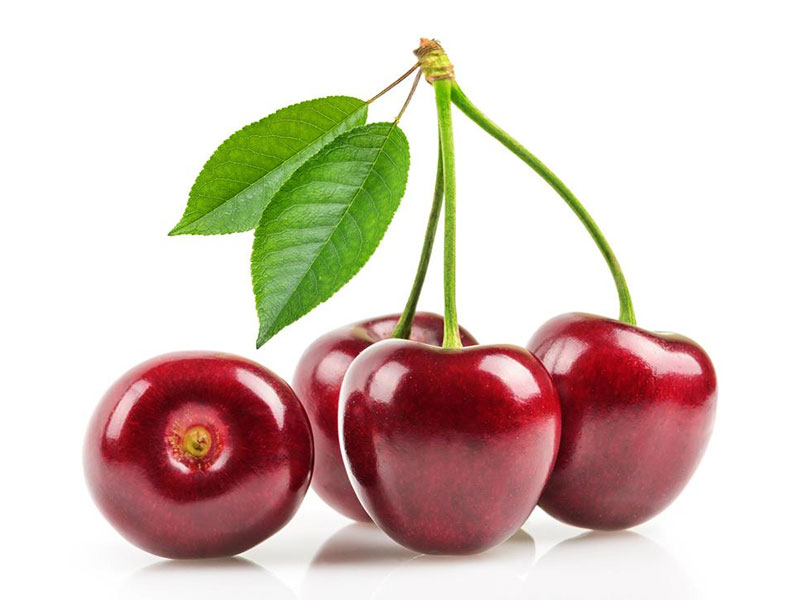 小优APP为爱而生儀器