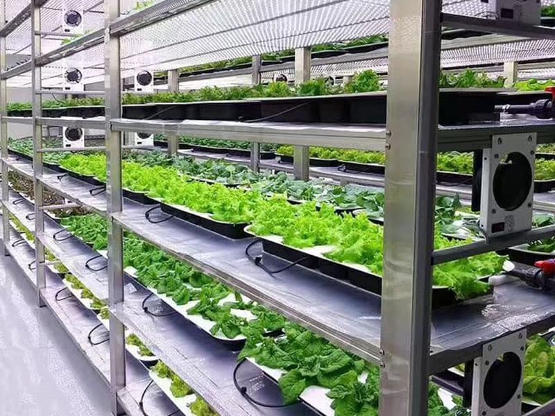 小优APP为爱而生  小优APP为爱而生室