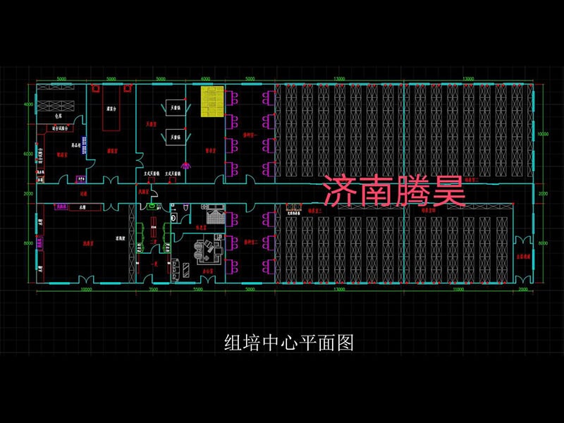 小优APP为爱而生  小优APP为爱而生室