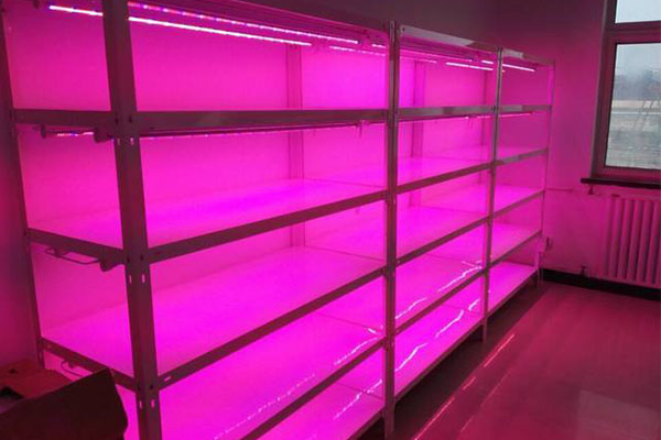 小优APP为爱而生儀器廠家