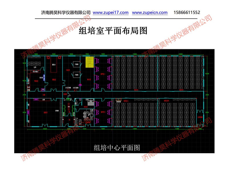 小优APP为爱而生  小优APP为爱而生室