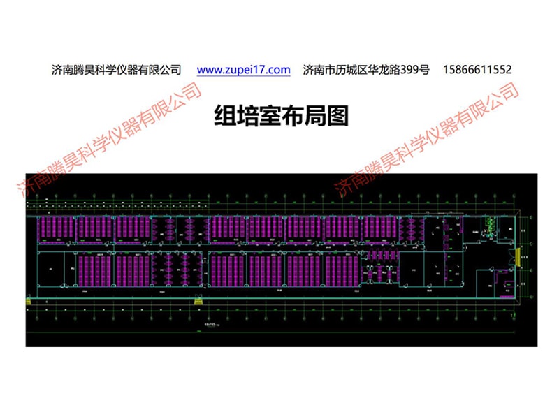 小优APP为爱而生  小优APP为爱而生室