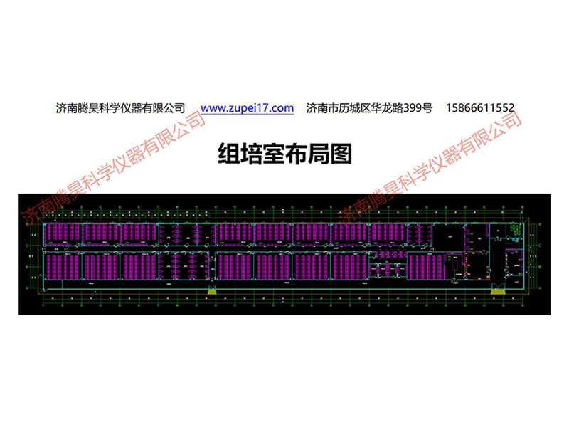 小优APP为爱而生室