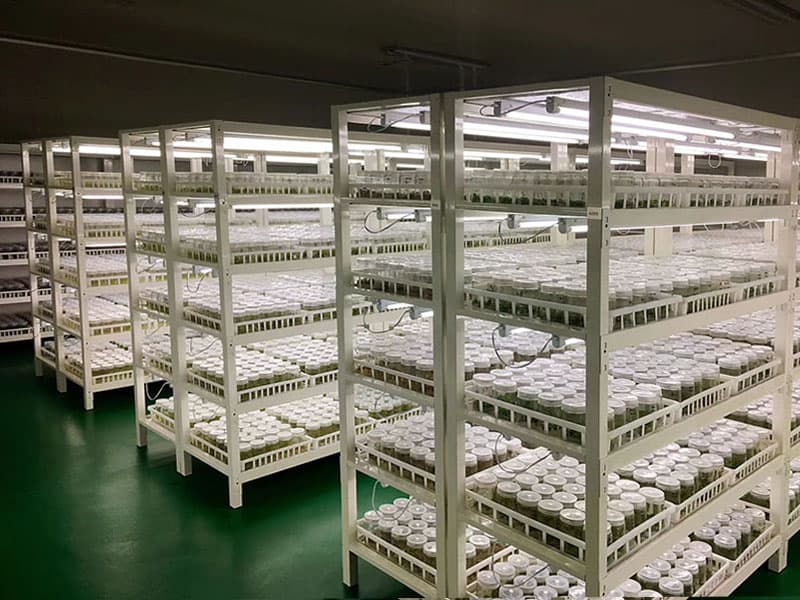 小优APP为爱而生  小优APP为爱而生架