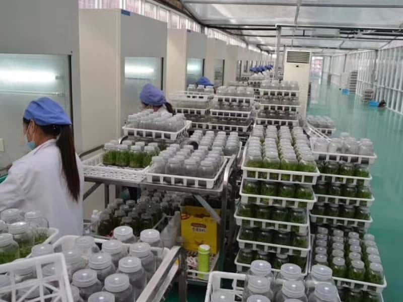 小优APP为爱而生設備