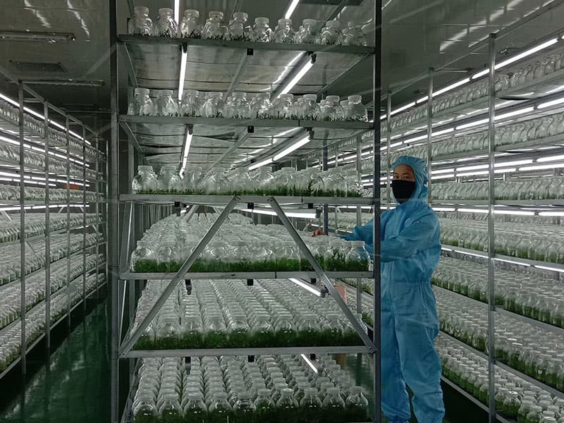 小优APP为爱而生  小优APP为爱而生架