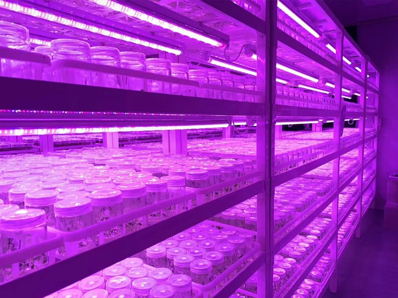 小优APP为爱而生  小优APP为爱而生架