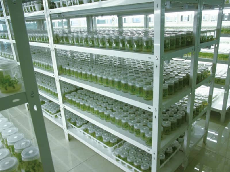 小优APP为爱而生  小优APP为爱而生架
