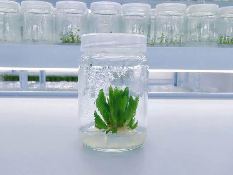 小优APP为爱而生瓶