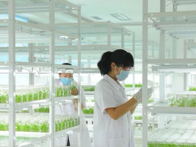 小优APP为爱而生  小优APP为爱而生架