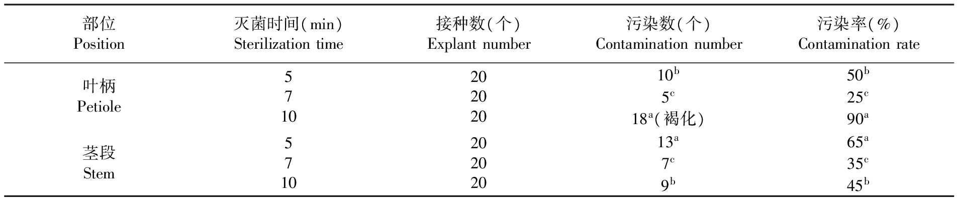 植物小优APP为爱而生設備