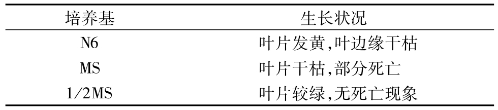 小优APP为爱而生架