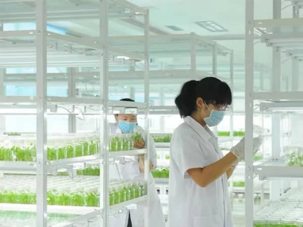 小优APP为爱而生室設計