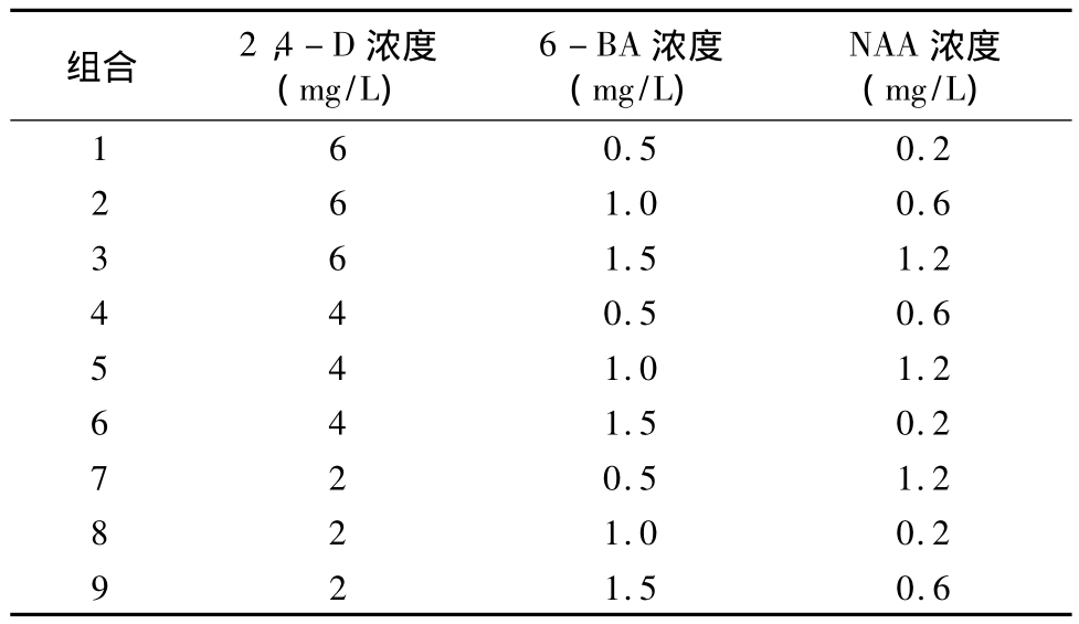 小优APP为爱而生實驗室