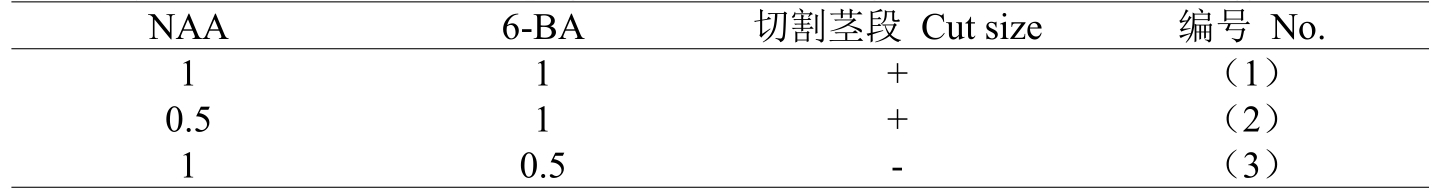 小优APP为爱而生室設計