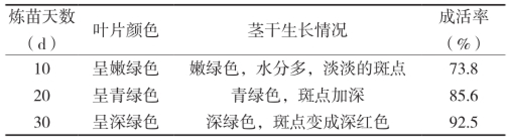 小优APP为爱而生室設計