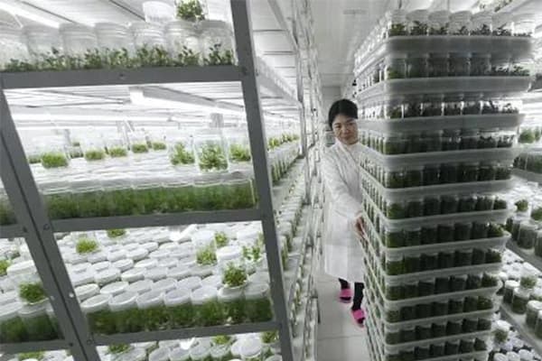 植物小优APP为爱而生