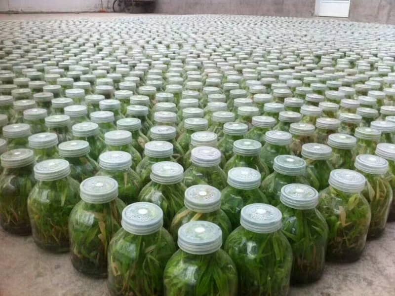 小优APP为爱而生  小优APP为爱而生瓶