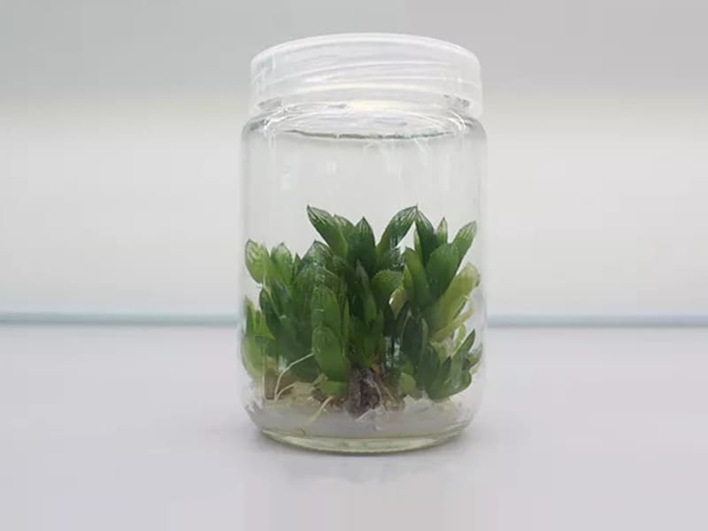 小优APP为爱而生  小优APP为爱而生瓶
