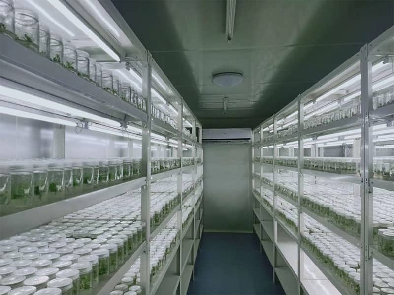 小优APP为爱而生  小优APP为爱而生設備  植物小优APP为爱而生