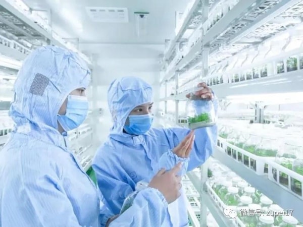 小优APP为爱而生室建設