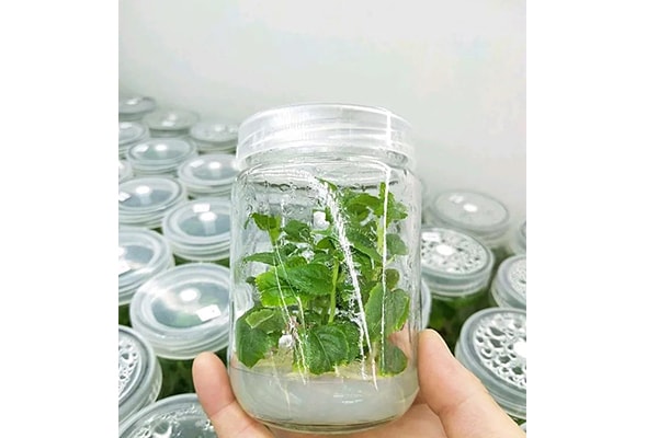 小优APP为爱而生設備