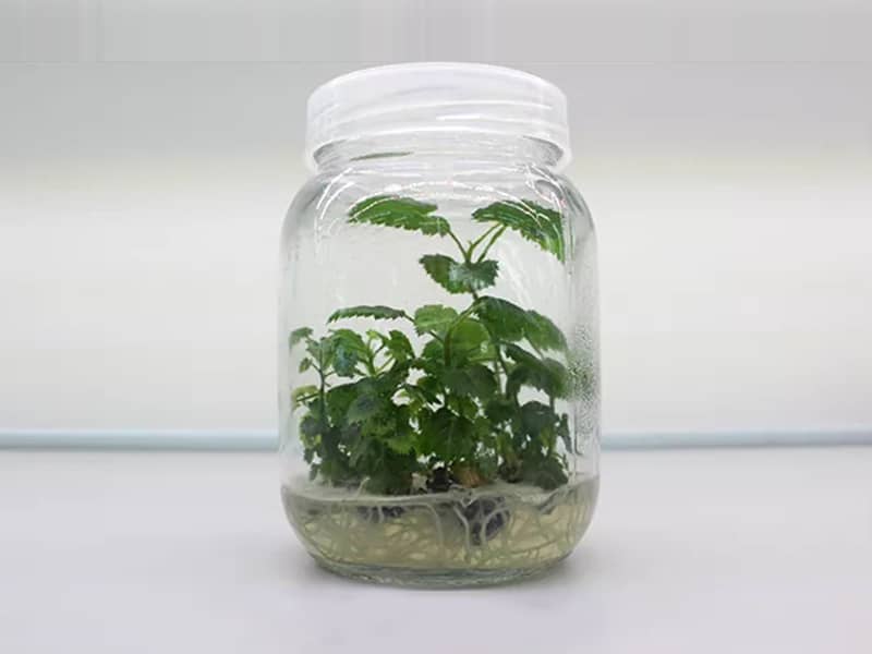 小优APP为爱而生  小优APP为爱而生瓶