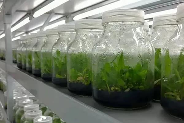 小优APP为爱而生設備