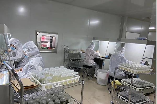 小优APP为爱而生