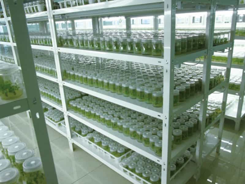 小优APP为爱而生  小优APP为爱而生設備