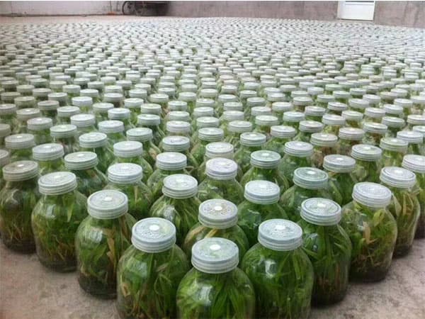 小优APP为爱而生  小优APP为爱而生瓶