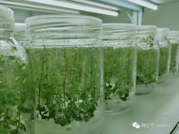 小优APP为爱而生