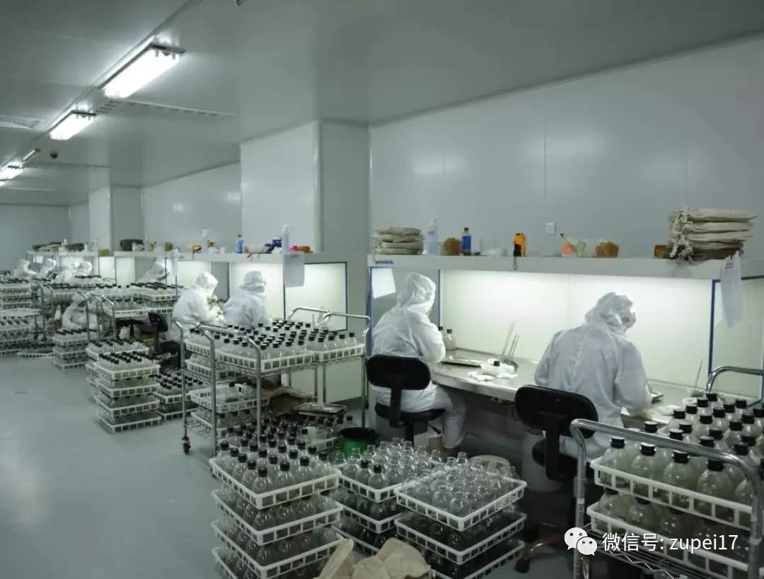 小优APP为爱而生